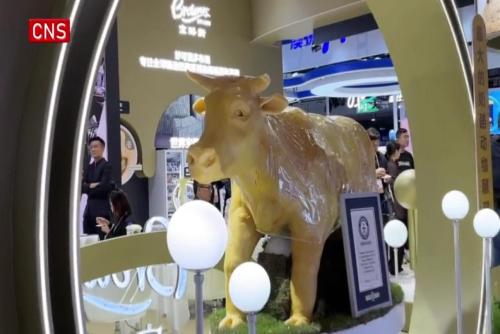 AR glasses, cheese cow sculpture debut at China International Import Expo