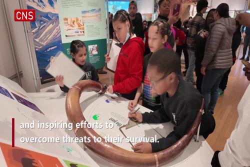 Explore 'The Secret World of Elephants' at American Museum of Natural History