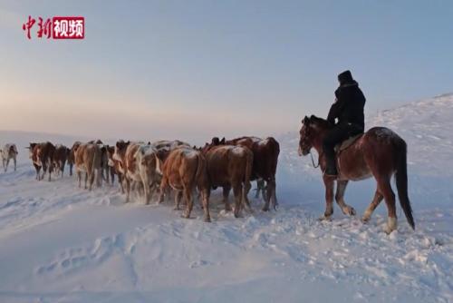 马背警队暴雪中行进40余公里帮牧民找回丢失牛群