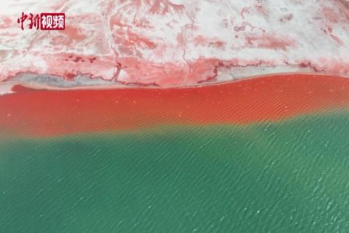 冬日阿拉克湖：雪山下的天然“调色盘”