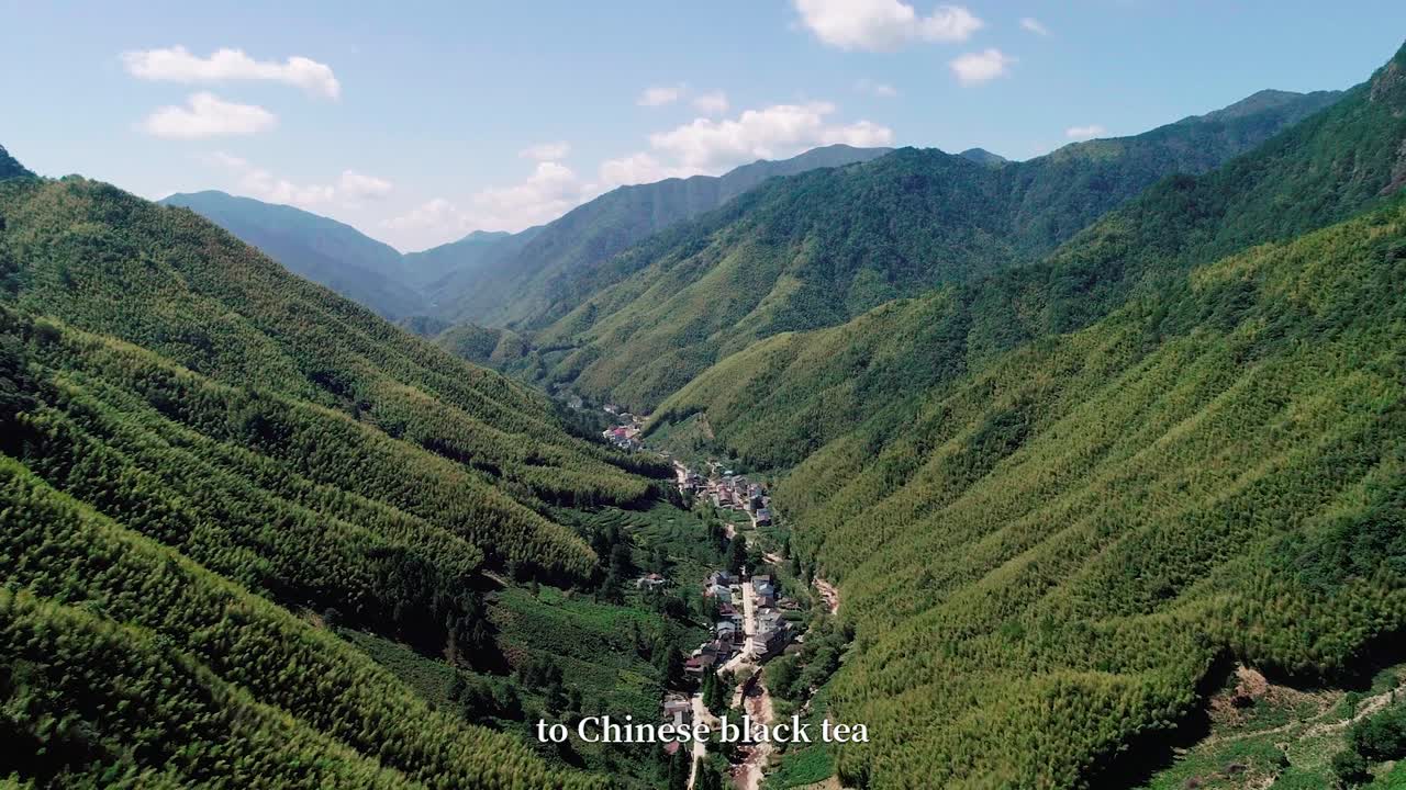 A sip of tea, a discovery of China