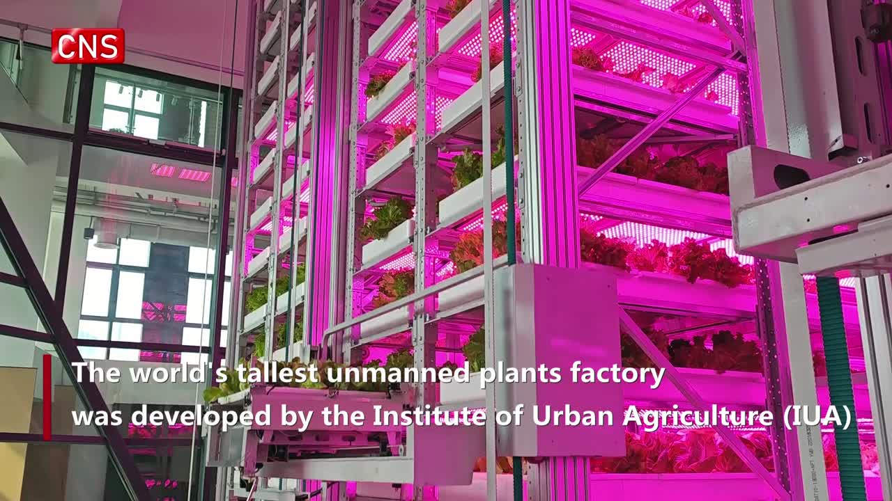 China unveils world's first unmanned 20-story vertical veggie farm