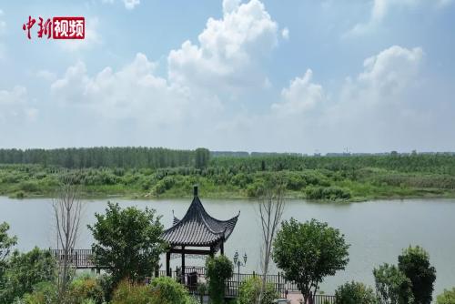 探访武汉沉湖国际重要湿地：保护绘诗意 人鸟共家园