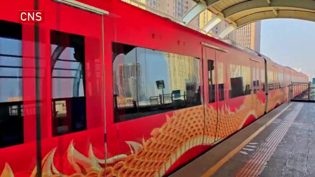 Dragon-themed metro trains operate in C China's Wuhan