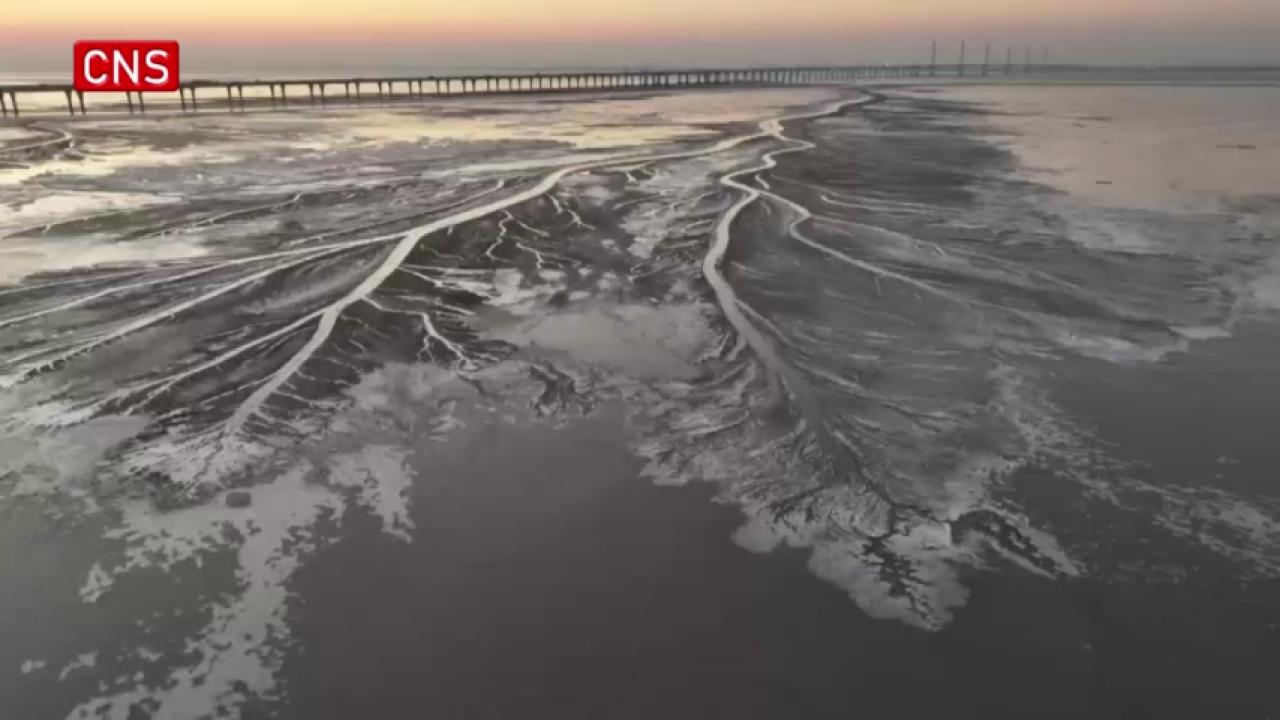 Tree-shaped patterns appear on frozen Qiantang River