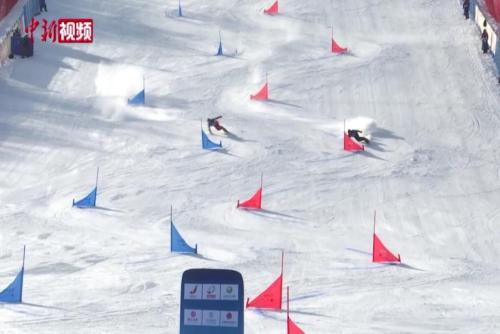 “十四冬”單板滑雪平行大回轉比賽收官 產生4枚金牌