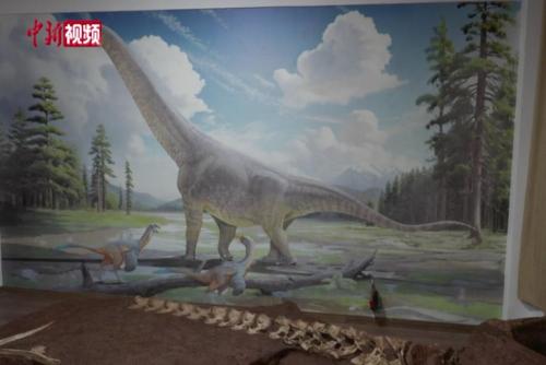 江西发现恐龙新属种“腔尾赣地巨龙”