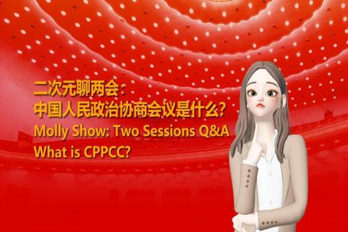 Molly Show: Two Sessions Q&A | What is CPPCC?