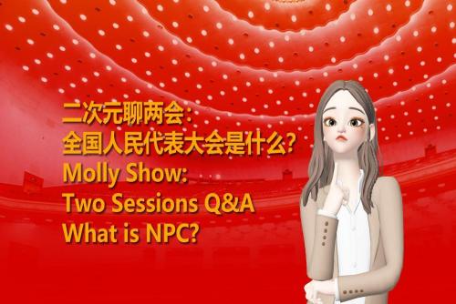 Molly Show: Two Sessions Q&A | What is NPC?
