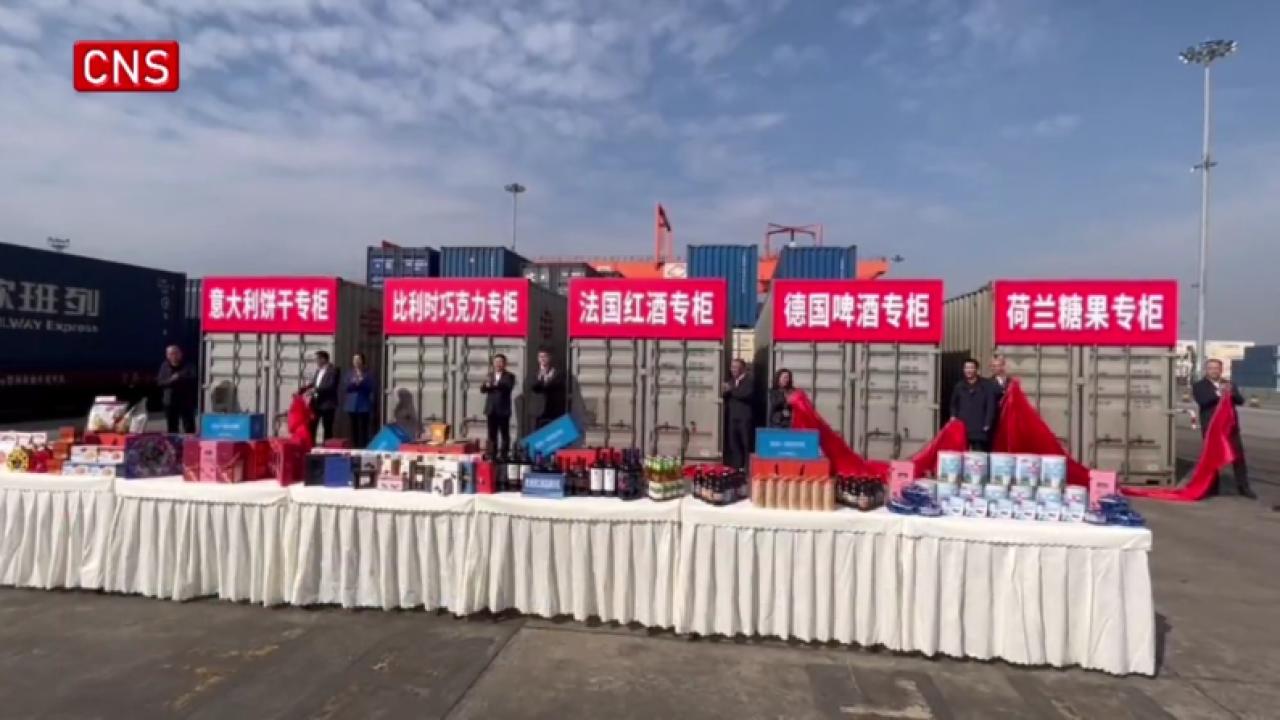 International freight train for China Food and Drinks Fair arrives in Chengdu