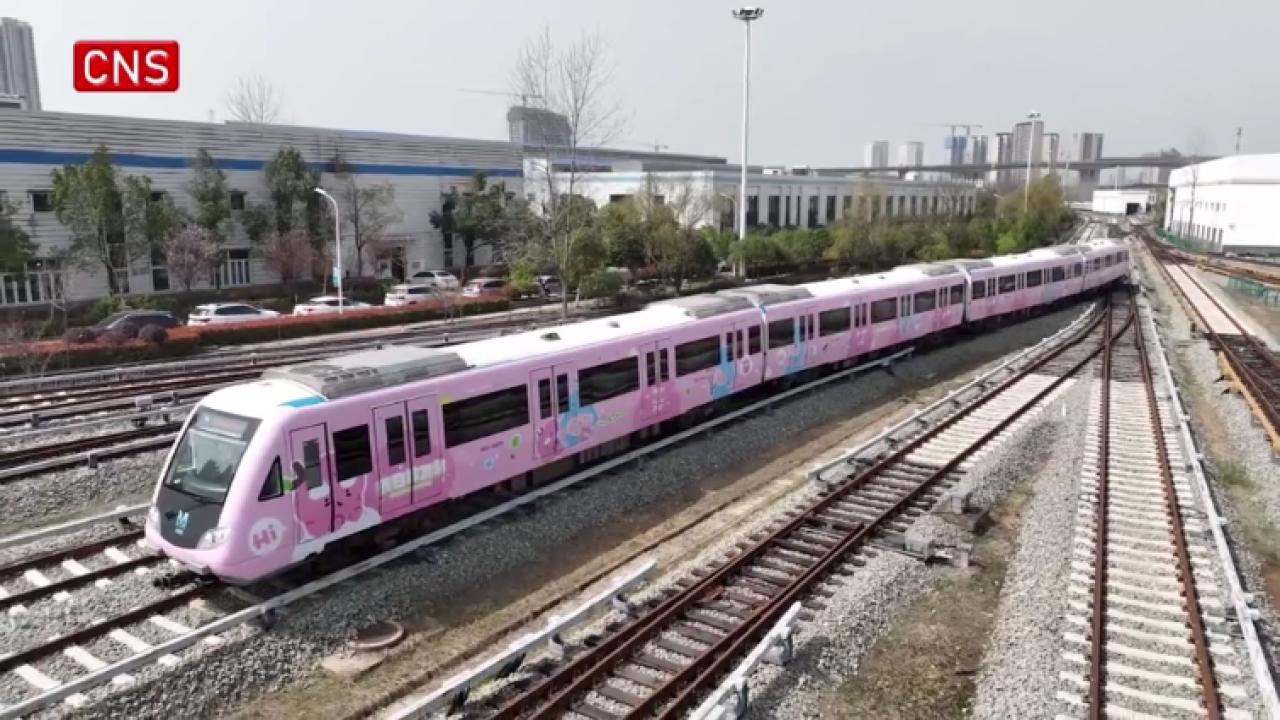 Wuhan metro launches cherry blossom-themed trains