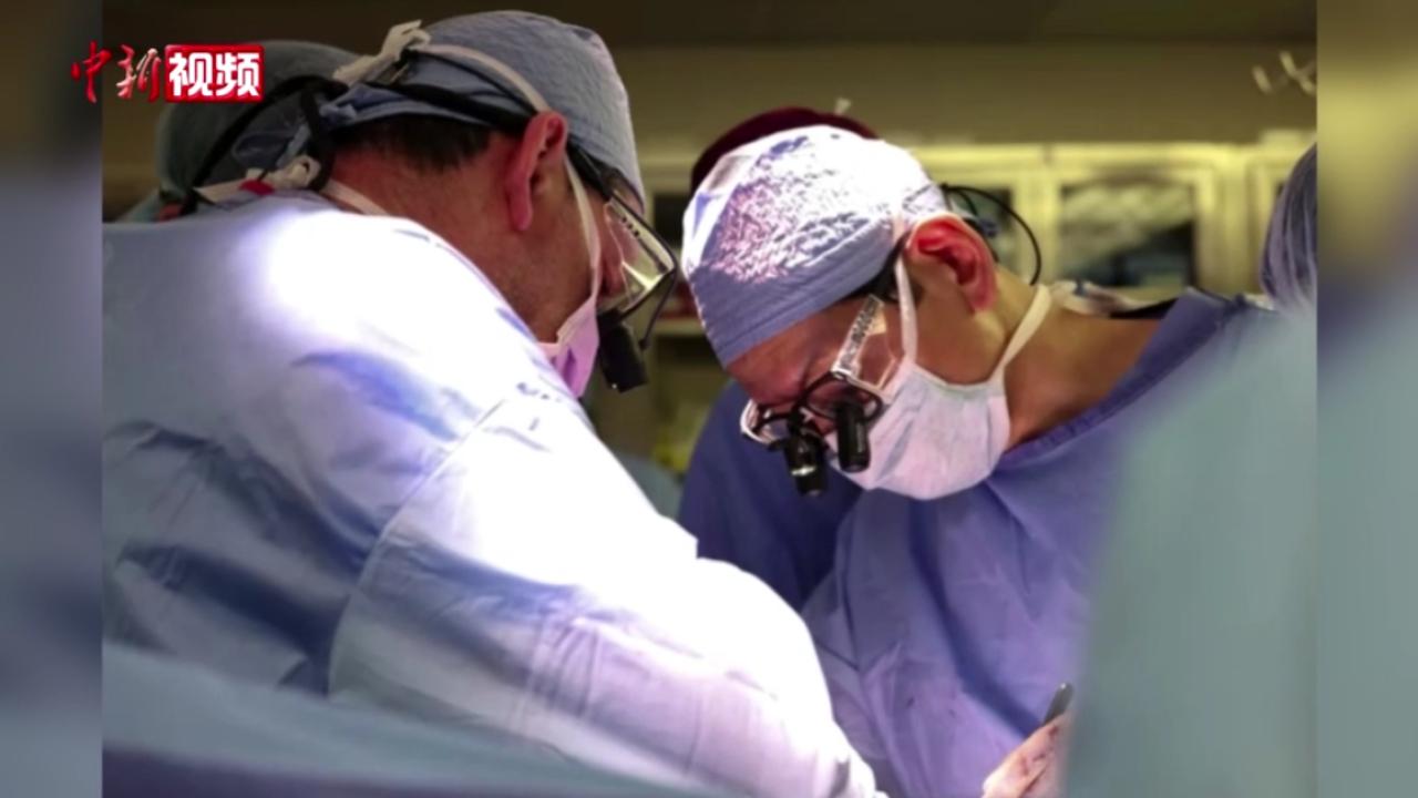 世界首例!美国医生将基因编辑猪肾移植到患者体内