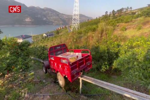 Dual-use transporter promotes transportation of oranges in Chongqing