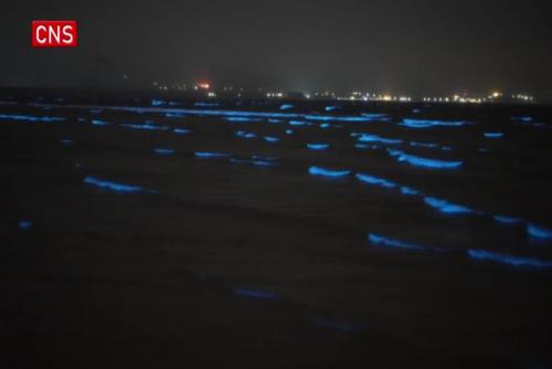 Sparkling 'blue tears' illuminate Pingtan island in China's Fujian