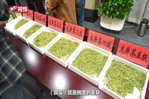浙江發布中國首個龍井茶國家標準樣品