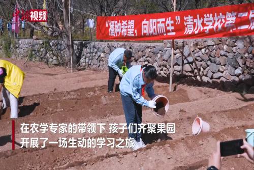  How to do farm work? Beijing students participate in the Spring Farming Festival as "farmers"