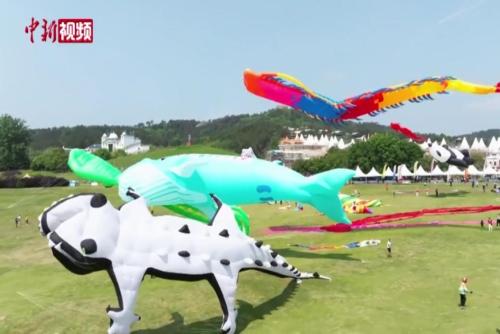 中外风筝运动选手齐聚武汉木兰草原同场竞技