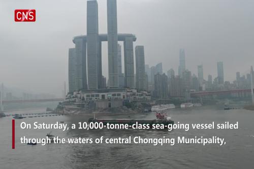 First 10,000-tonne-class ship arrives in Chongqing