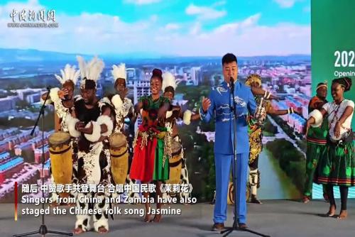 China-Zambia Year of Culture and Tourism boosts opportunity for more exchanges