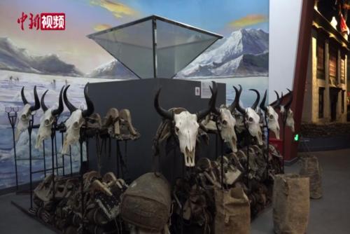 西藏牦牛博物馆十周年