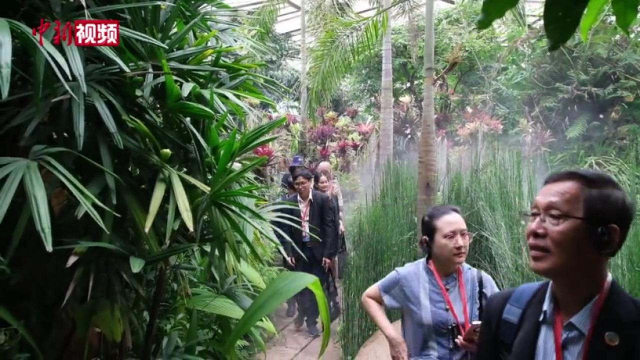  Experts and scholars from the six Lancang Mekong countries enter the "Fuli Palace" of Kunming Botanical Garden