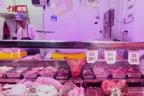 外媒：欧洲猪肉行业面临“噩梦”