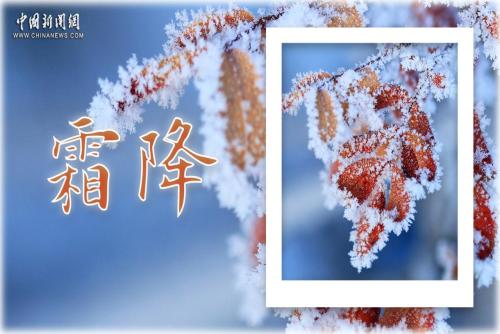 畫框中的二十四節(jié)氣——霜降