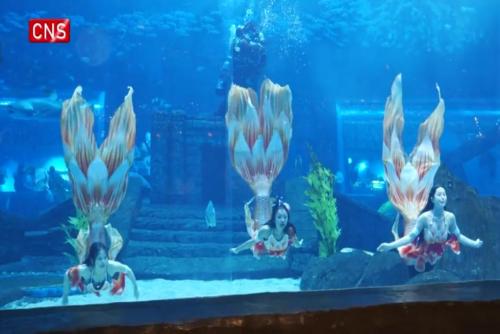 Underwater mermaid shows staged to usher in Year of the Snake