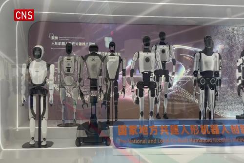 Shanghai launches heterogeneous humanoid robot training base