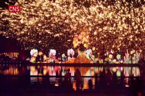 Intangible cultural heritage adds vitality to Spring Festival celebrations