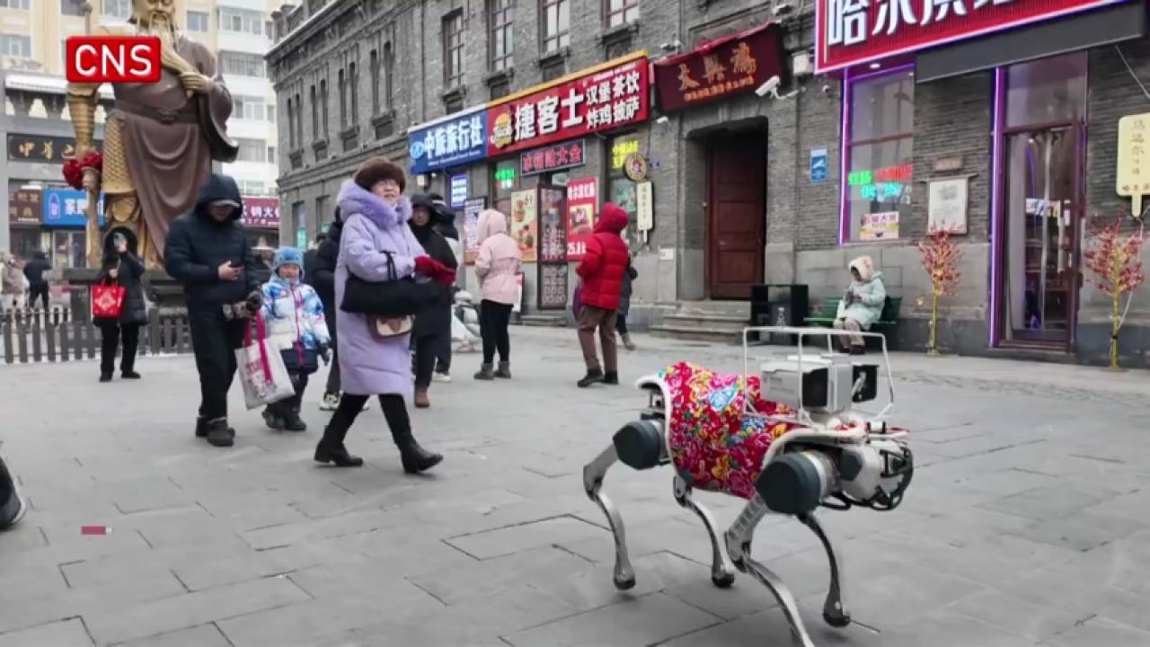 Robotic dog assists in street patrols during Asian Winter Games in Harbin