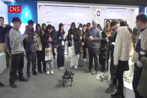 Playing Chinese chess with AI, Taiwan youths experience mainland technology