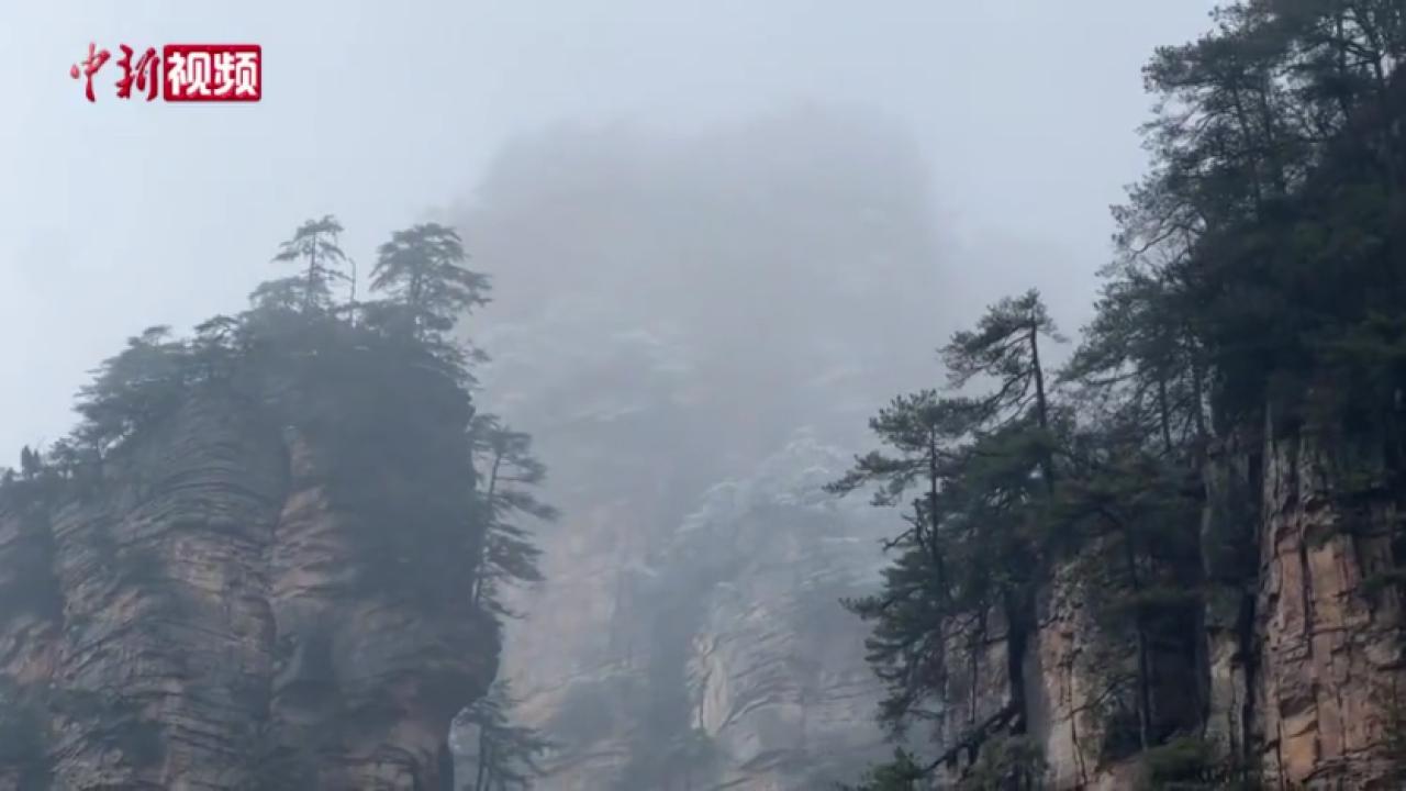 湖南张家界天子山春雪纷飞