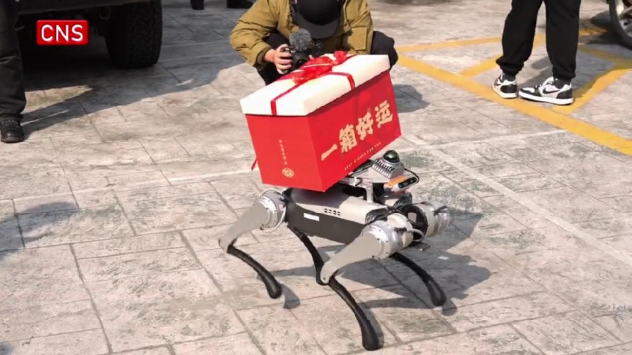 Robotic dogs play role as companions in China's nursing homes