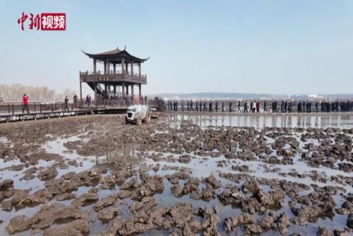 黑龍江“科技”春耕展開(kāi) “陸?？铡敝悄苻r(nóng)機(jī)“上崗”
