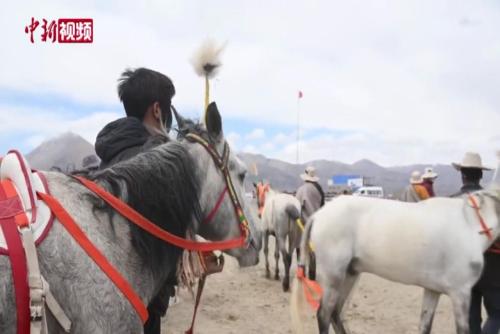 跨域賽馬燃情西藏當(dāng)雄 文旅融合賦能鄉(xiāng)村振興