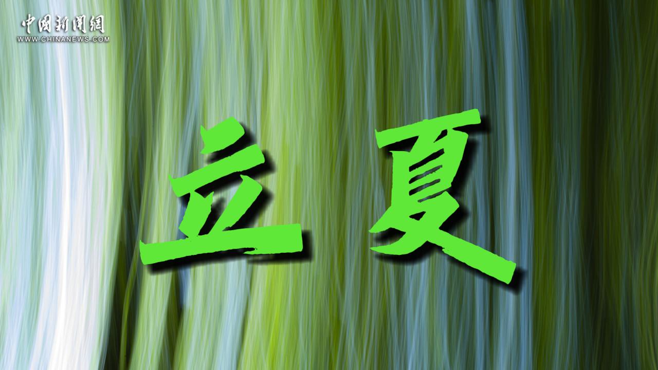 立夏：绿荫凝翠色 繁花映红妆