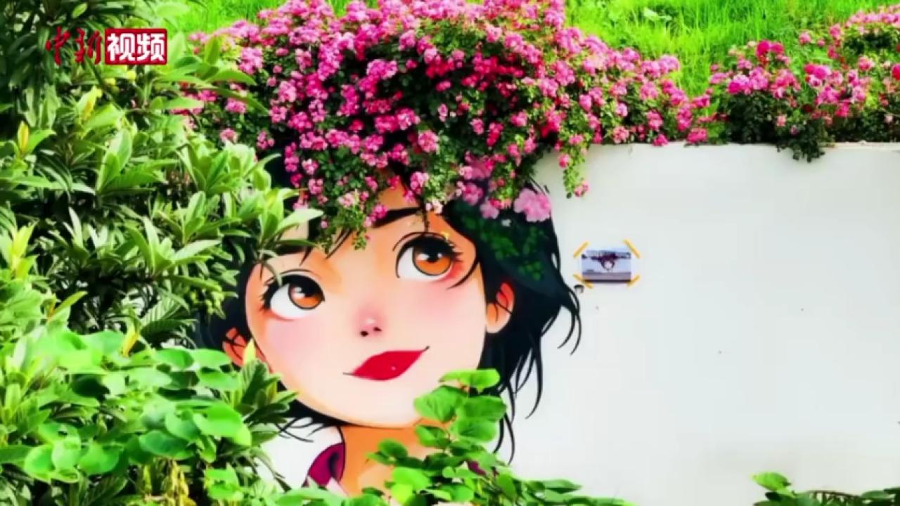 浙江杭州：创意花墙成城市“浪漫风景”