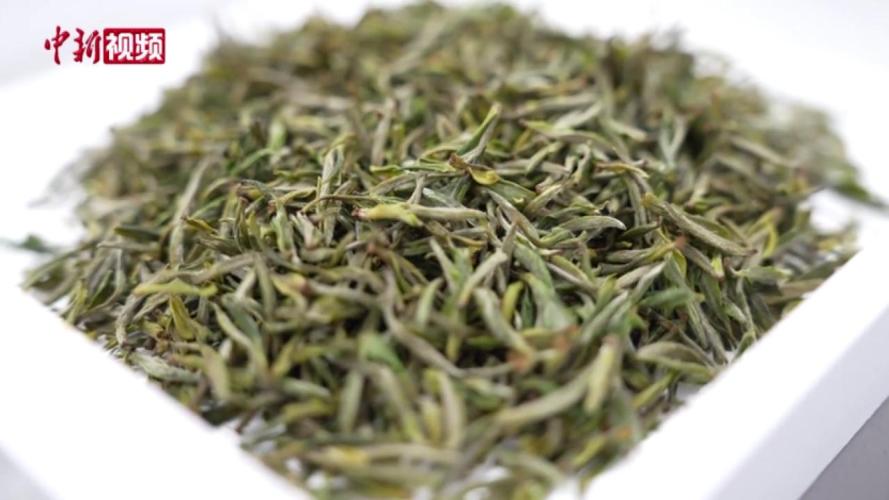 黄山毛峰创制150年 首届“茶王盟主”揭晓