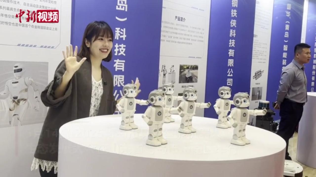智能机器人走红毯、打太极“显身手”
