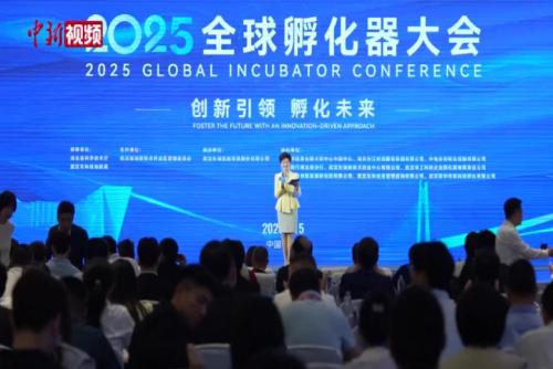 中外专家齐聚“中国光谷”共谋孵化器发展新篇章