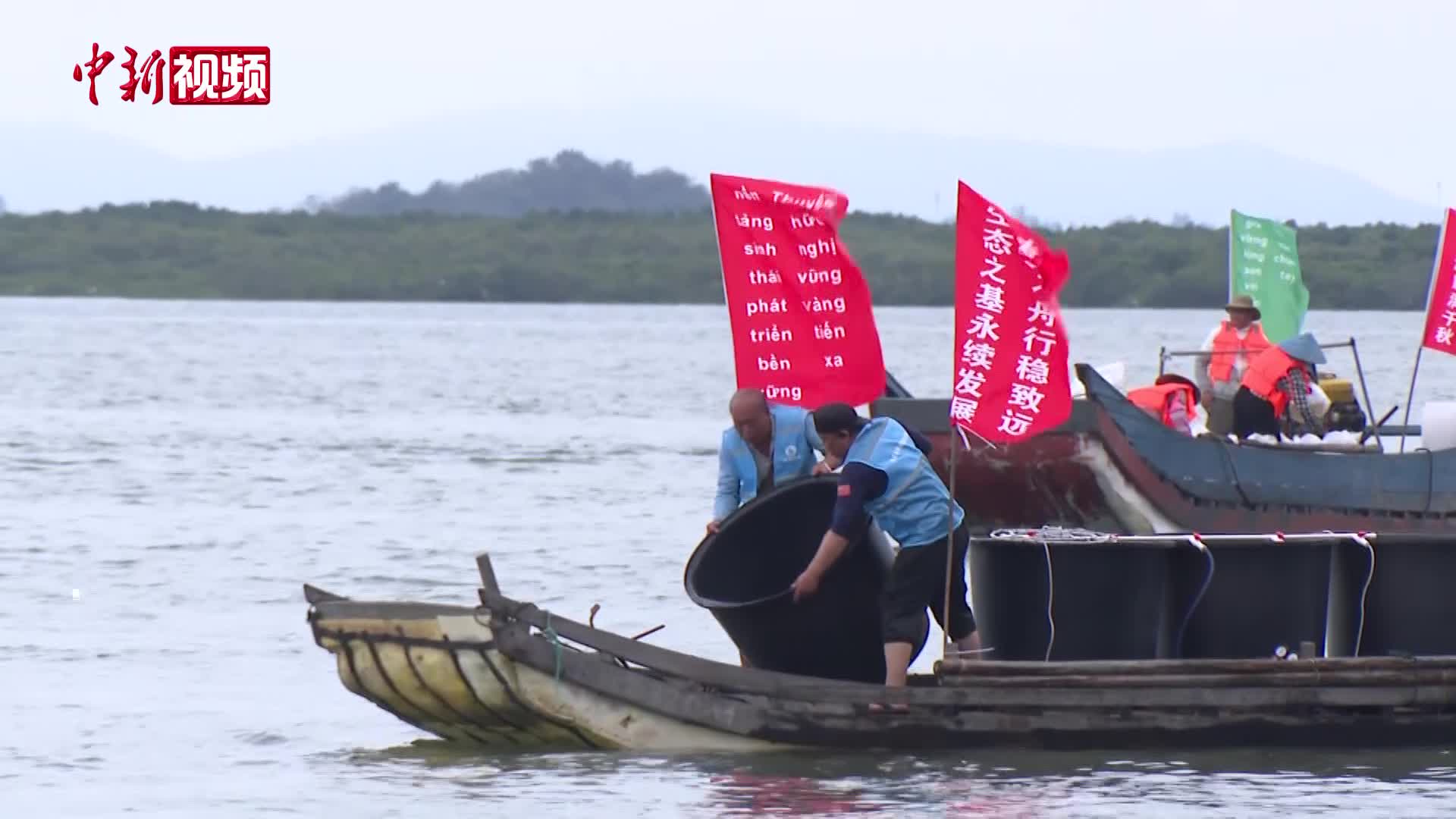 中越联合举行2025年北部湾渔业资源增殖放流活动