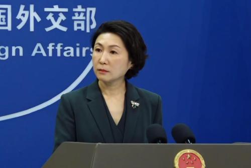 国宝文物归国 外交部：事实证明中美平等对话合作可以互利共赢