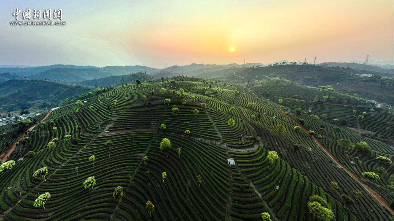 云南普洱：去“以茶為名”的地方赴一場茶香之約