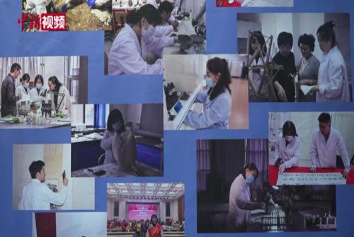 小新帶你觸碰匠心 觀60余年來寧夏文物修復(fù)成果