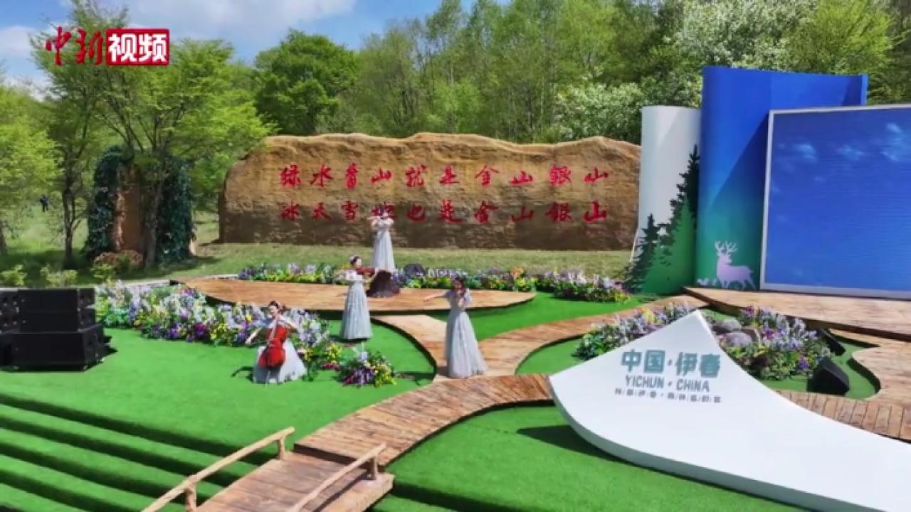 2025年国际生物多样性日宣传活动在“中国林都”伊春举行