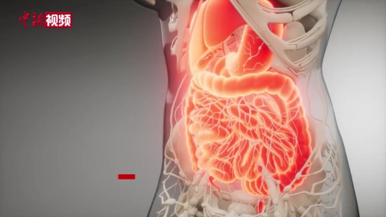 【百万庄小课堂】一吃刺激食物就腹泻 “下水”不好怎么办？