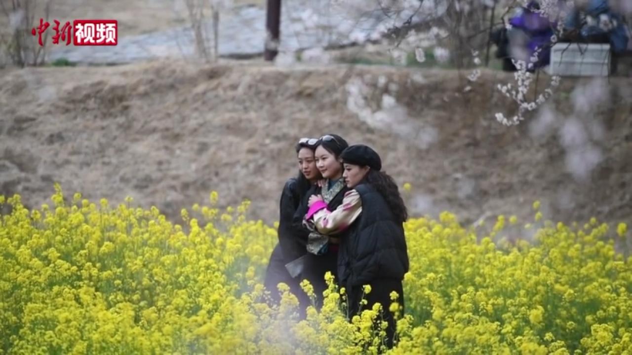 西藏旅游热潮：“世界屋脊”的创纪录增长与新机遇