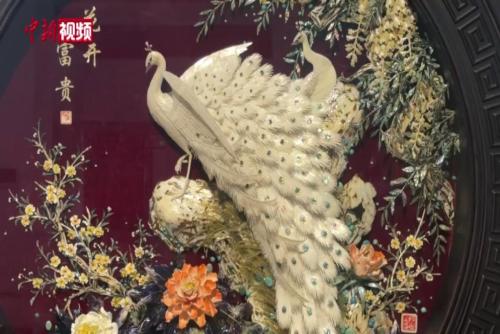 长春展百余件贝雕精品：长城、九龙壁“跃然贝上”