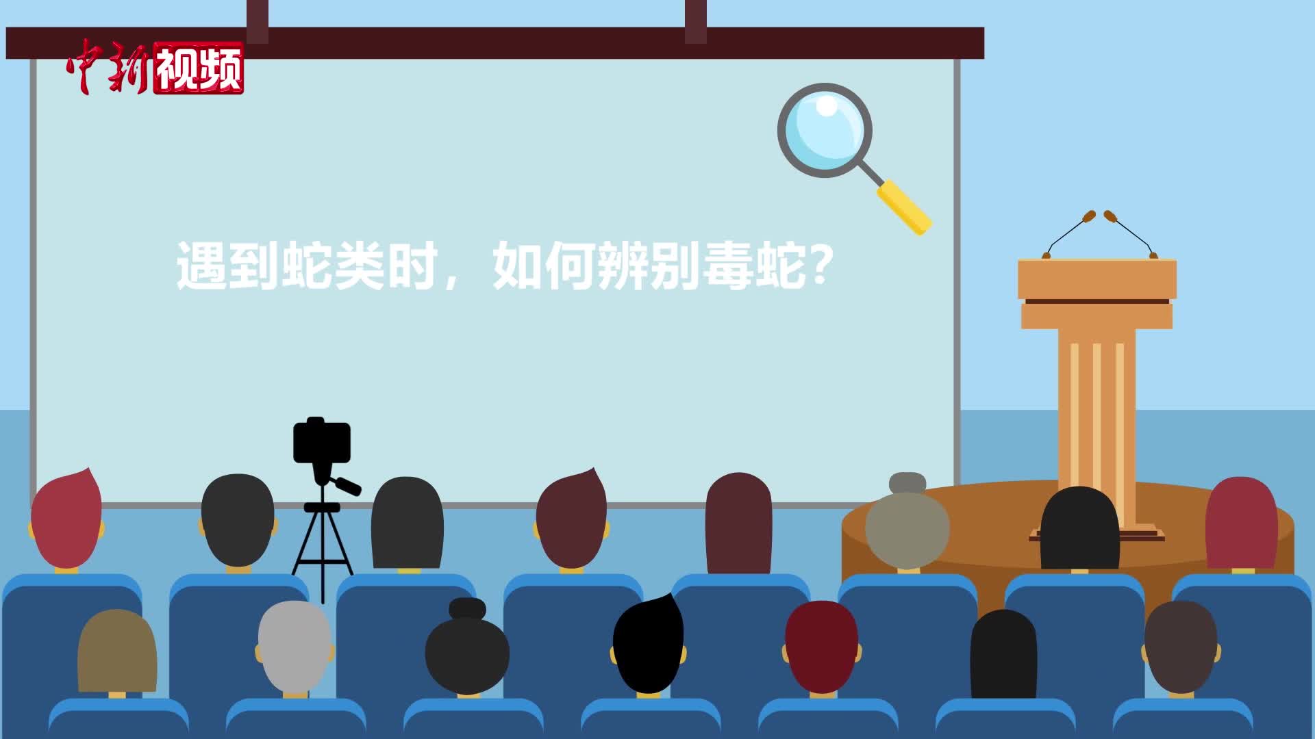 【百万庄小课堂】夏季蛇类“活动季” 防蛇攻略请查收！